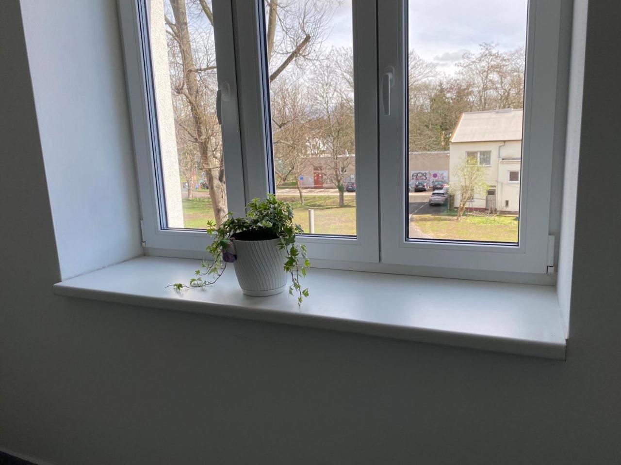 Hradec KrálovéPerla Hradce 301公寓 外观 照片